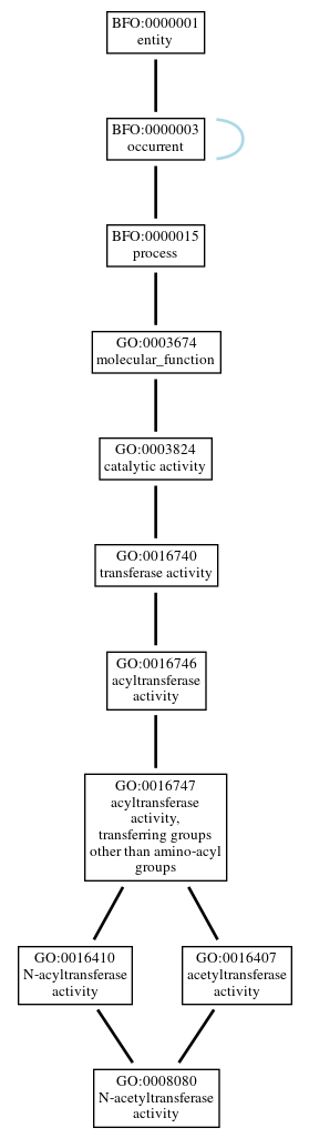 Graph of GO:0008080