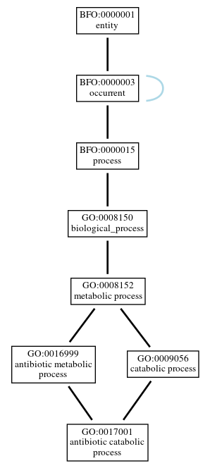 Graph of GO:0017001