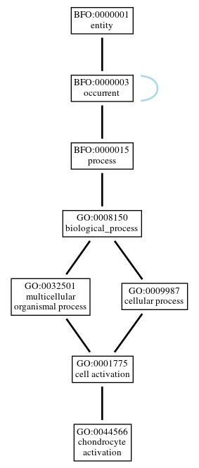 Graph of GO:0044566