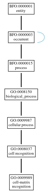 Graph of GO:0009989