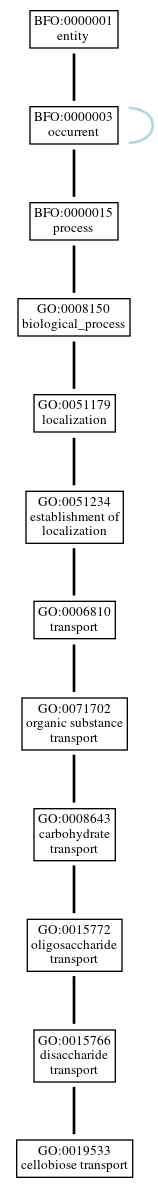 Graph of GO:0019533