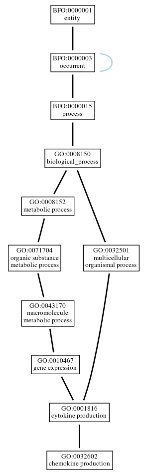 Graph of GO:0032602