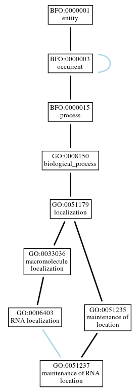 Graph of GO:0051237