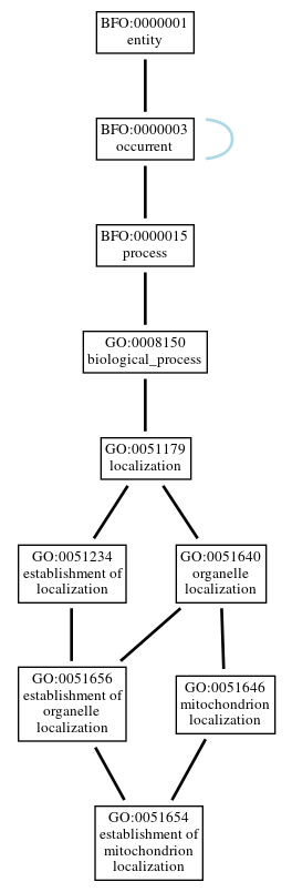 Graph of GO:0051654