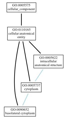 Graph of GO:0090652