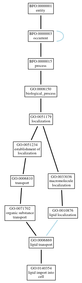 Graph of GO:0140354