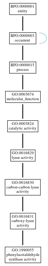 Graph of GO:1990055