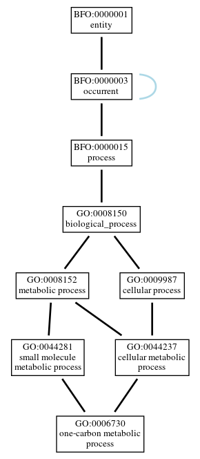 Graph of GO:0006730