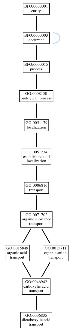 Graph of GO:0006835