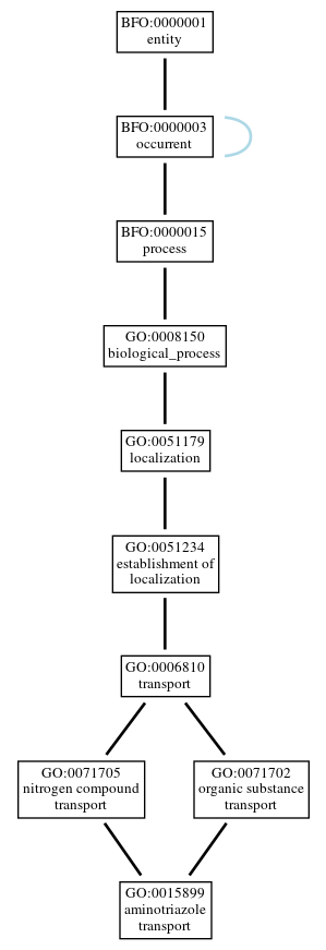 Graph of GO:0015899