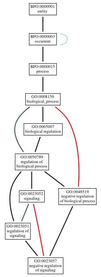 Graph of GO:0023057