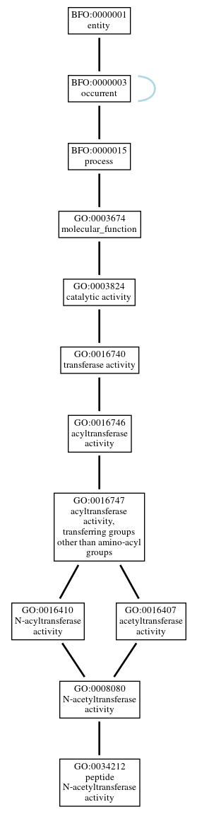 Graph of GO:0034212