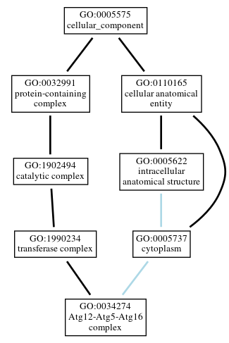 Graph of GO:0034274