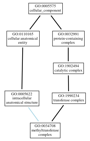 Graph of GO:0034708