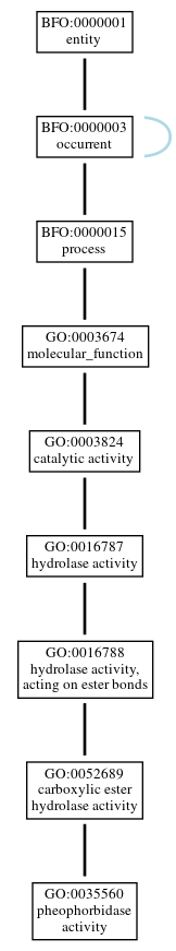 Graph of GO:0035560