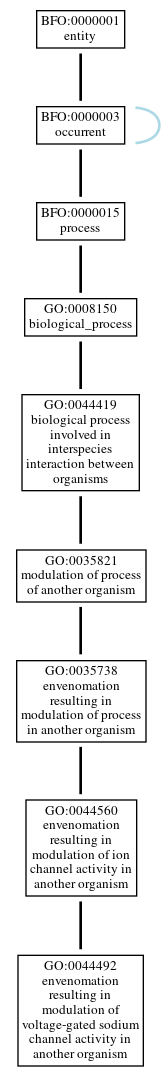 Graph of GO:0044492