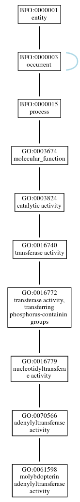 Graph of GO:0061598