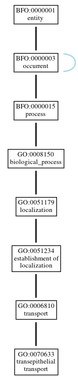Graph of GO:0070633