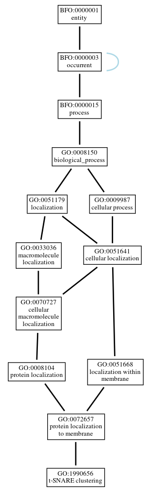 Graph of GO:1990656