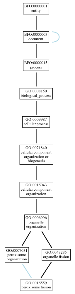 Graph of GO:0016559