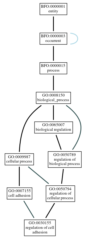 Graph of GO:0030155