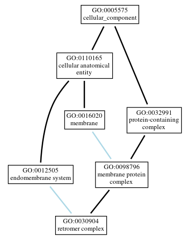 Graph of GO:0030904