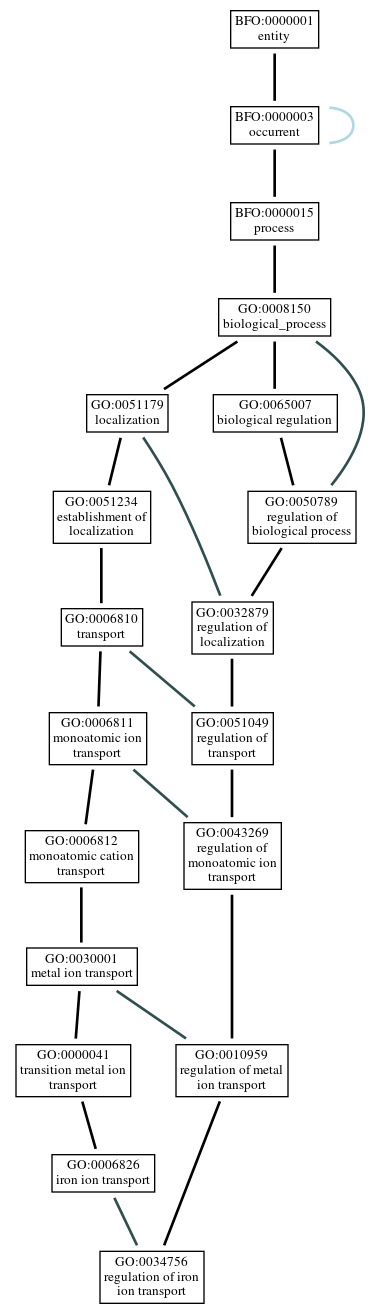 Graph of GO:0034756