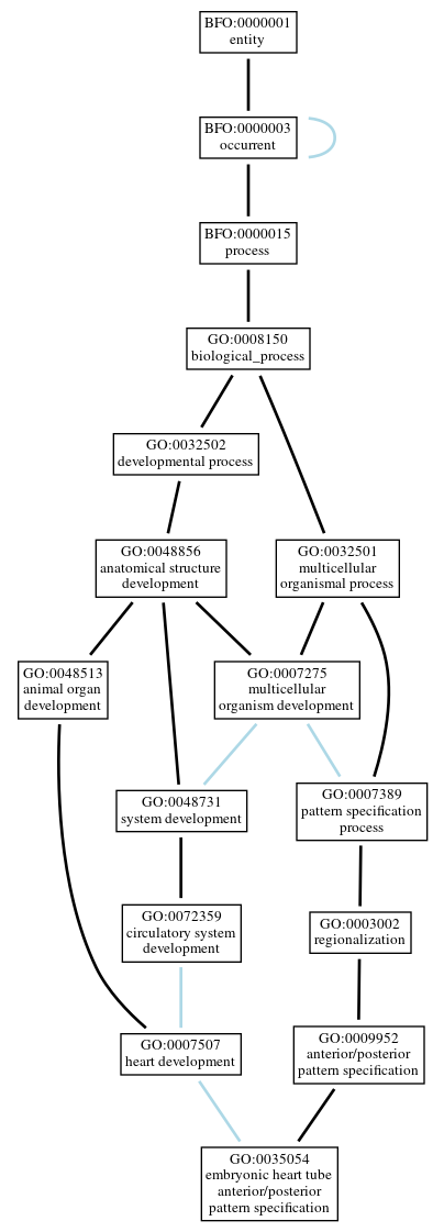 Graph of GO:0035054