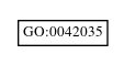 Graph of GO:0042035