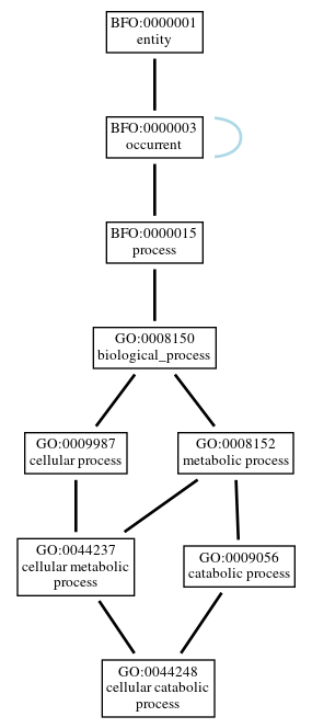 Graph of GO:0044248