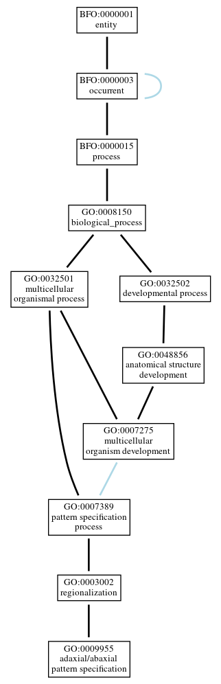 Graph of GO:0009955