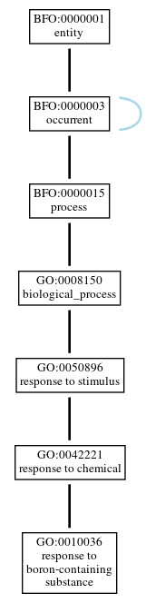Graph of GO:0010036