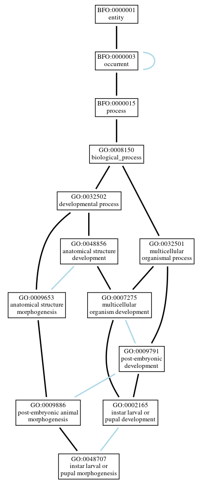 Graph of GO:0048707
