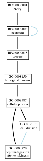Graph of GO:0000920