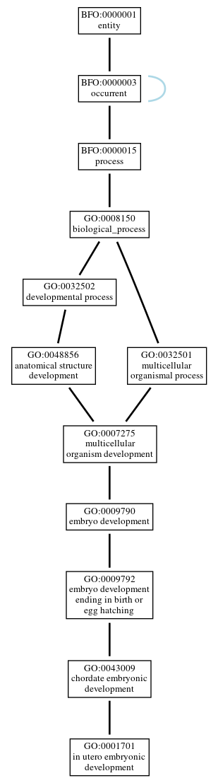 Graph of GO:0001701