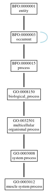 Graph of GO:0003012