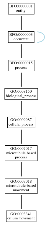Graph of GO:0003341