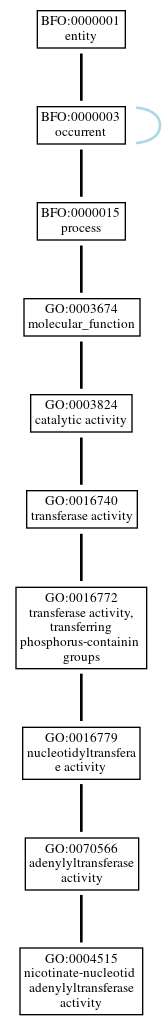 Graph of GO:0004515