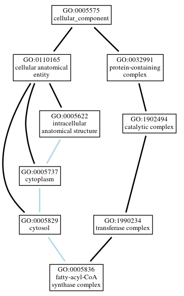 Graph of GO:0005836