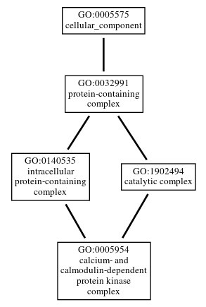 Graph of GO:0005954