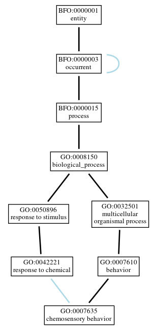Graph of GO:0007635