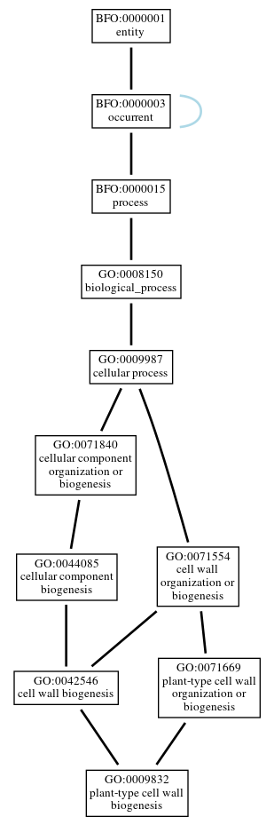 Graph of GO:0009832