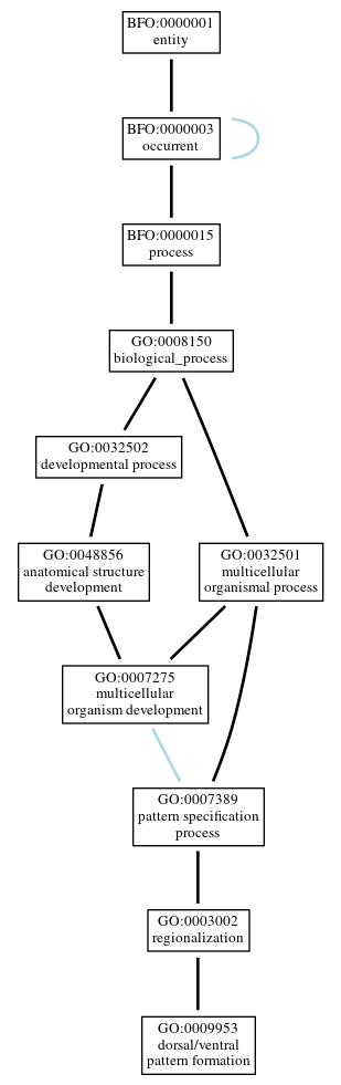 Graph of GO:0009953