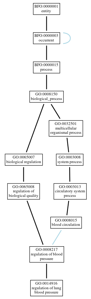 Graph of GO:0014916
