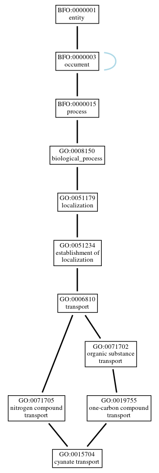 Graph of GO:0015704