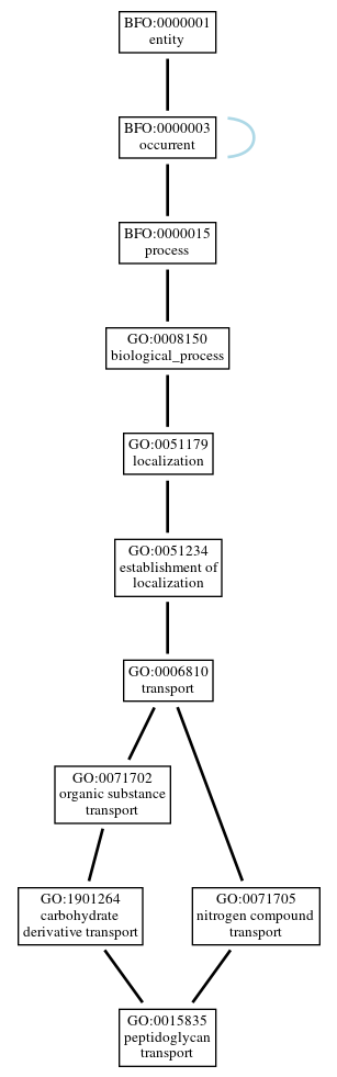 Graph of GO:0015835