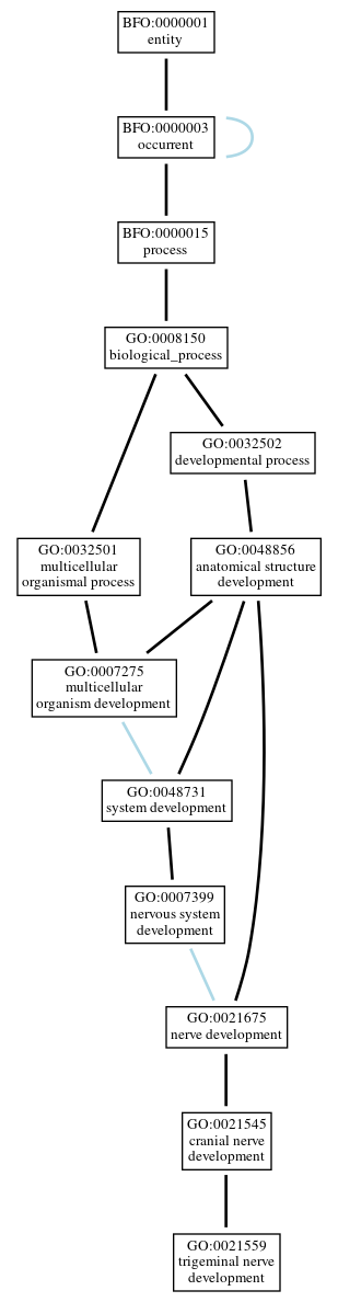 Graph of GO:0021559