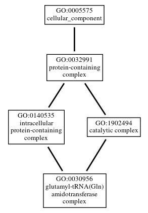 Graph of GO:0030956