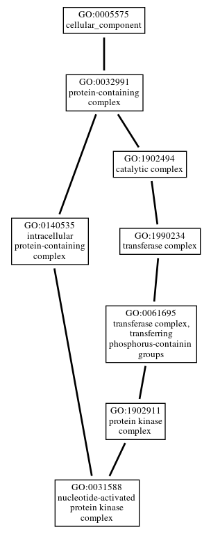 Graph of GO:0031588