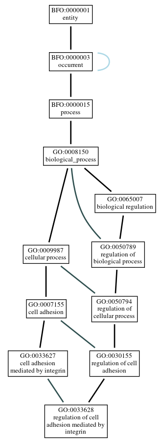 Graph of GO:0033628